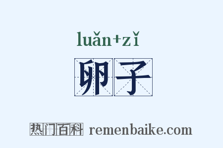 卵子是什么意思的图片